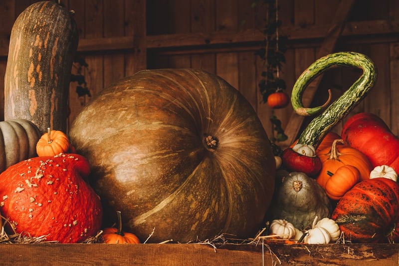 Fall Harvest Recipes
